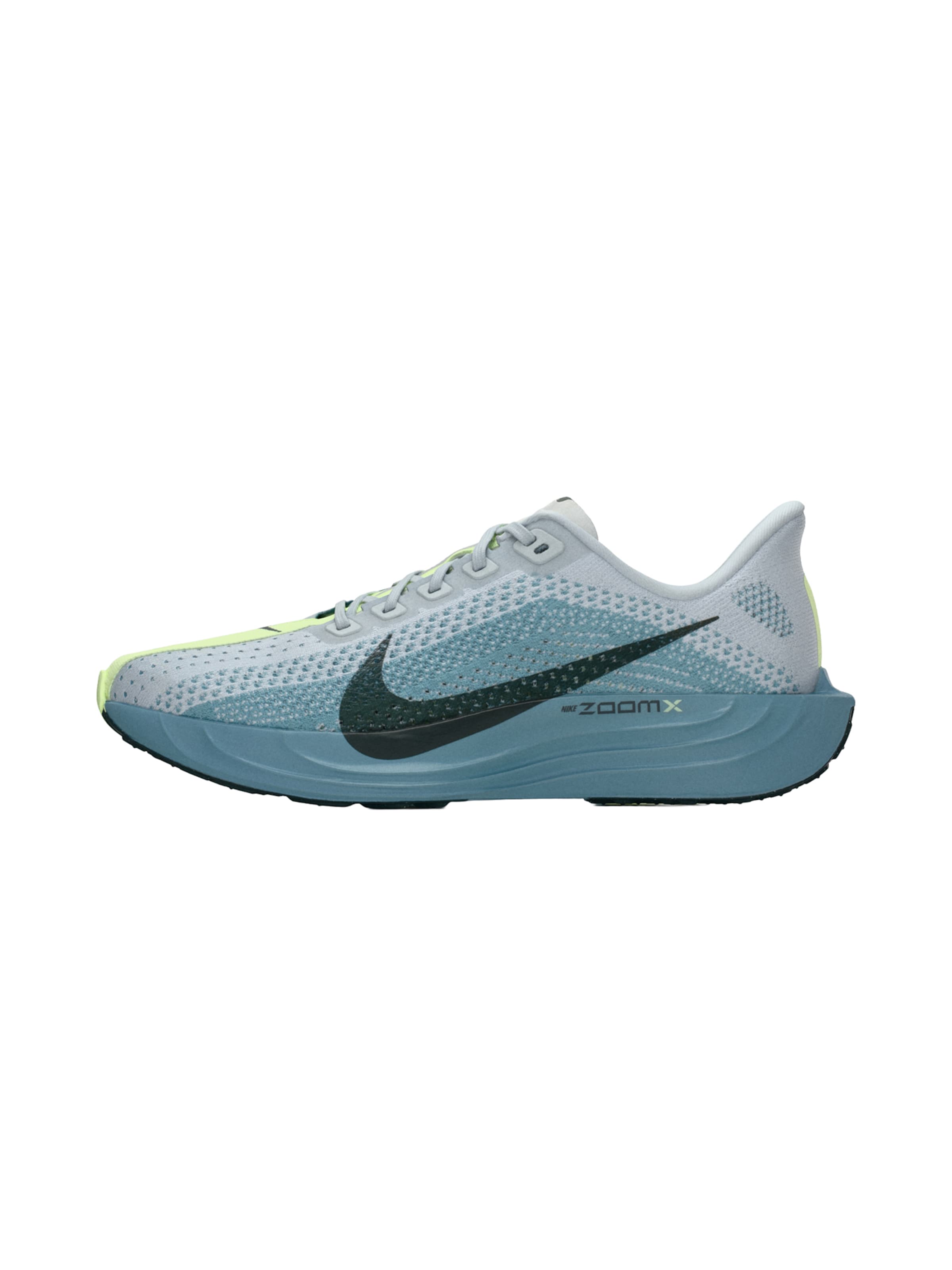 NIKE Беговые кроссовки 'Pegasus Plus' в светло-сером цвете
NIKE Беговые кроссовки 'Pegasus Plus' в светло-сером цвете