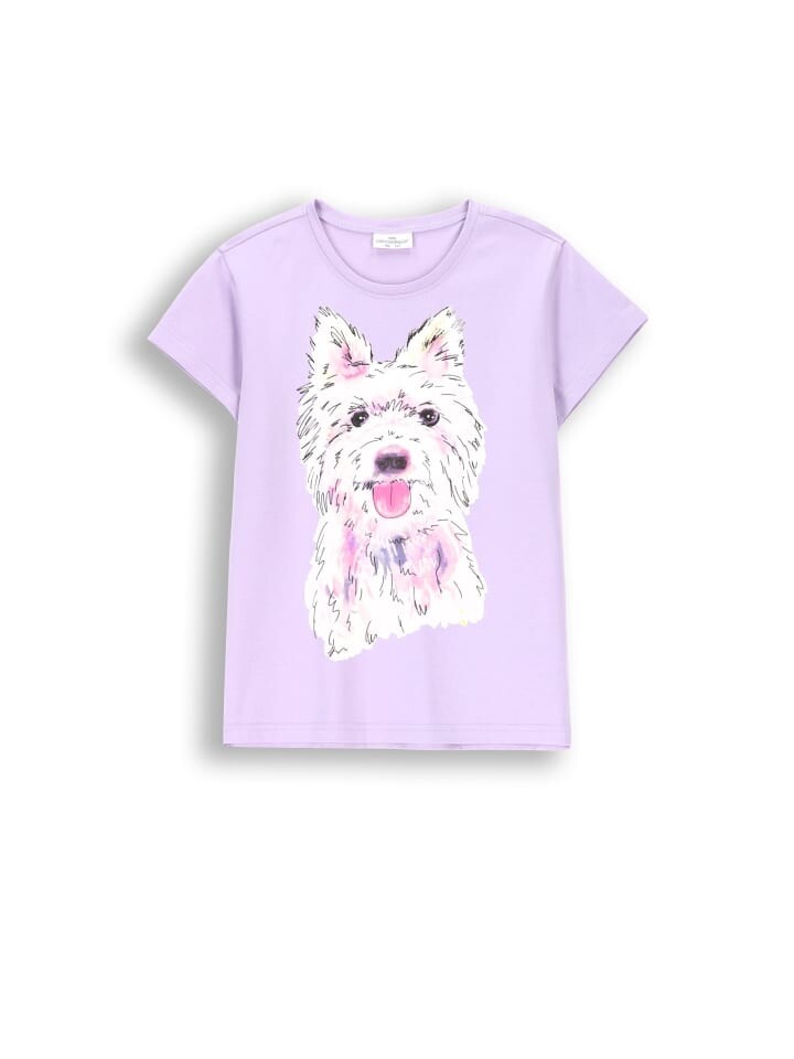 Футболка Coccodrillo, фиолетовый
Футболка Coccodrillo, фиолетовый