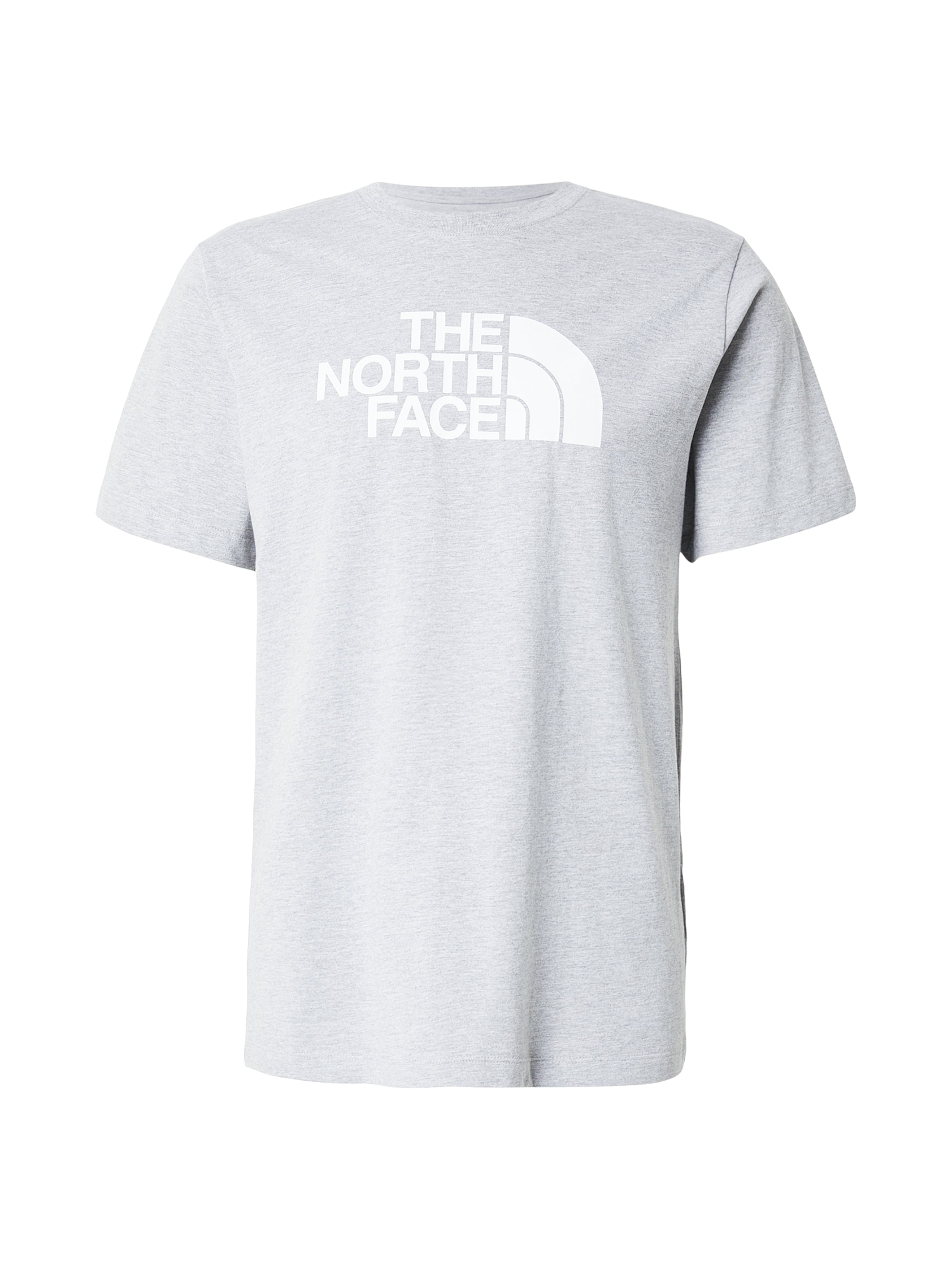 THE NORTH FACE Футболка 'EVOLUTION HALF DOME' в сером цвете
THE NORTH FACE Футболка 'EVOLUTION HALF DOME' в сером цвете