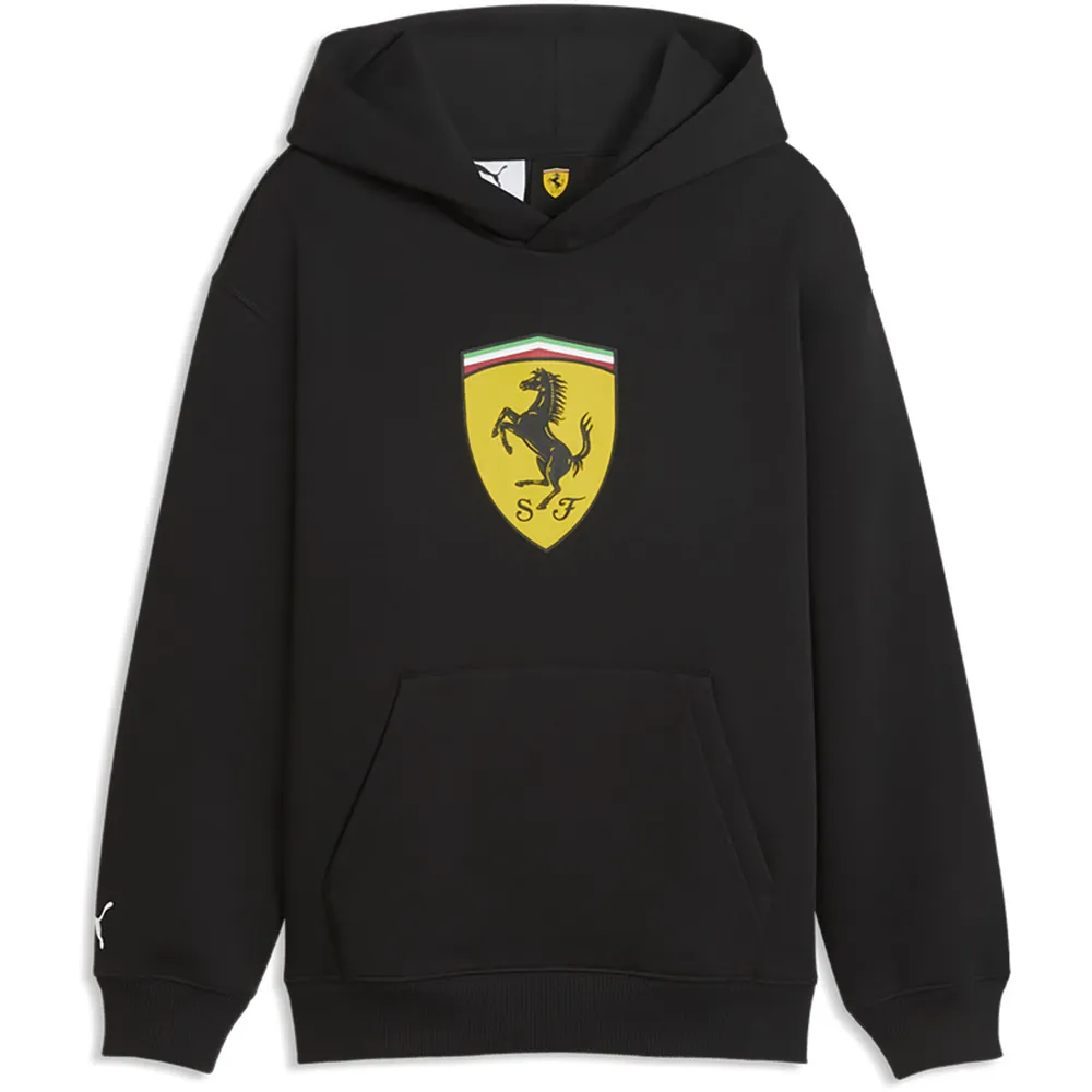 Худи Puma Ferrari Colored Shield, черный
Худи Puma Ferrari Colored Shield, черный
