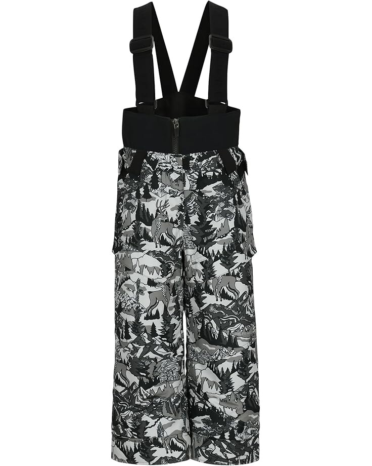 Брюки Obermeyer Kids Warp Pants, цвет High Alpine
Брюки Obermeyer Kids Warp Pants, цвет High Alpine