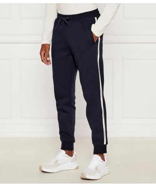 Спортивные штаны Regular fit Ea7, синий 
Спортивные штаны Regular fit Ea7, синий