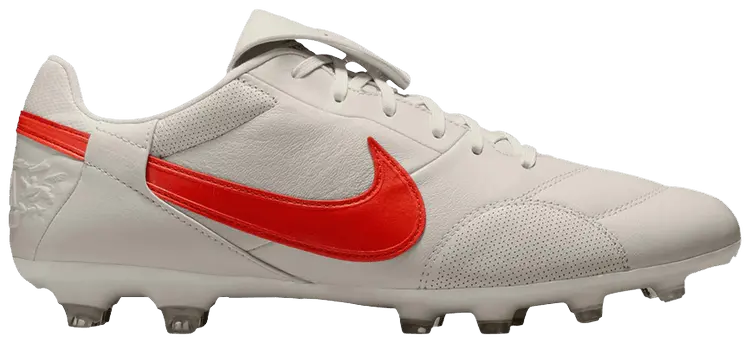 Кроссовки Nike Premier 3 FG, коричневый
Кроссовки Nike Premier 3 FG, коричневый