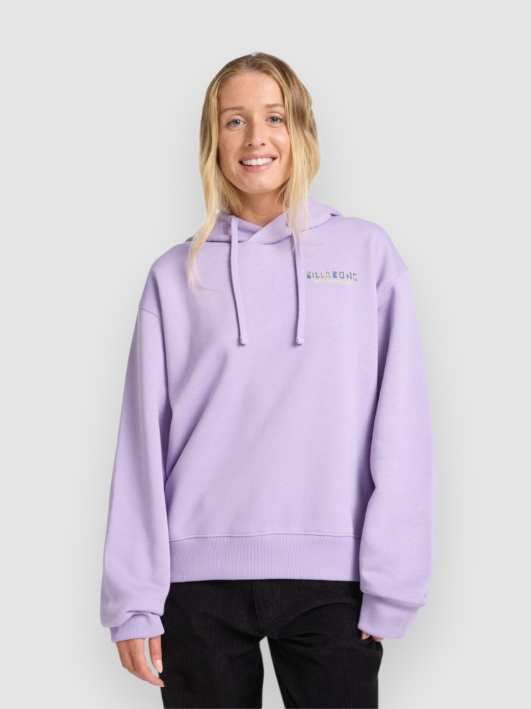 Толстовка Billabong Island Vibes Hoodie, light purple
Толстовка Billabong Island Vibes Hoodie, light purple