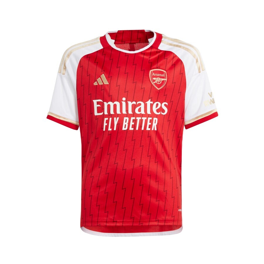 Спортивный топ ADIDAS PERFORMANCE Performance Shirt Arsenal 23/24 Home, красный
Спортивный топ ADIDAS PERFORMANCE Performance Shirt Arsenal 23/24 Home, красный