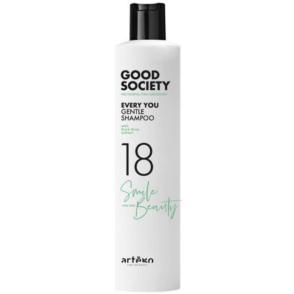 Artego Good Society 18 Every You Нежный шампунь 250 мл, Montibello
Artego Good Society 18 Every You Нежный шампунь 250 мл, Montibello