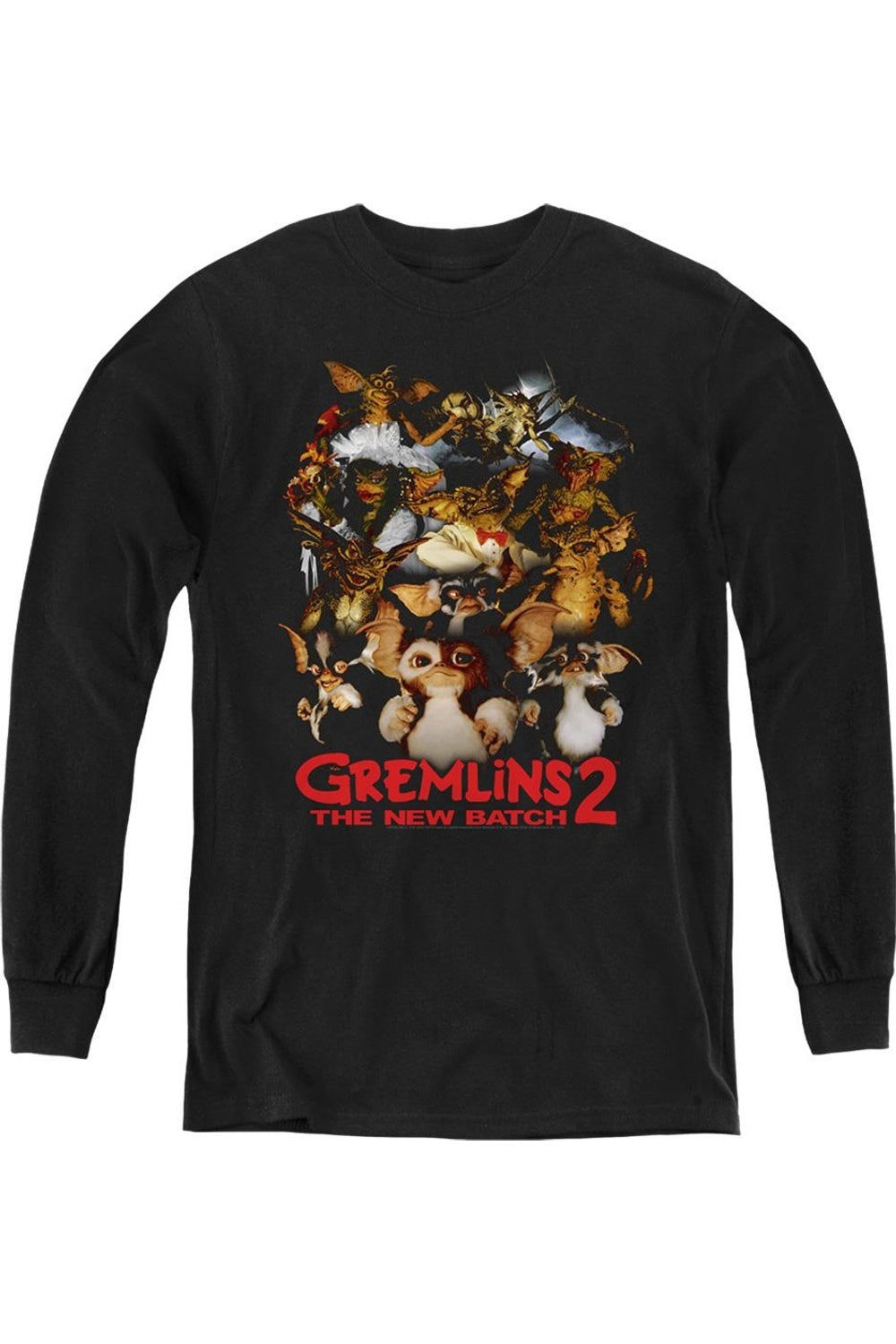 Греблинс 2 худи с длинным рукавом для подростков Goon Crew Gildan, черный
Греблинс 2 худи с длинным рукавом для подростков Goon Crew Gildan, черный