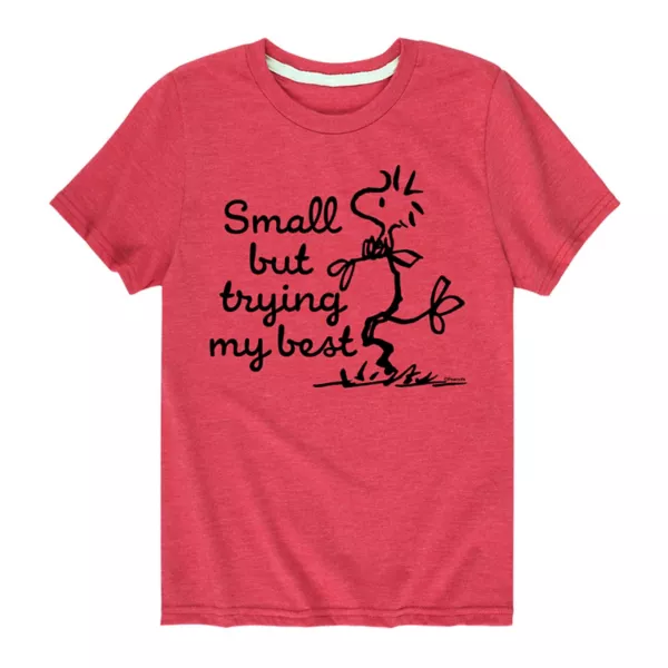 Футболка для мальчиков 8-20 лет с принтом "Peanuts: Вудсток, маленький, но старается изо всех сил" Licensed Character, красный
Футболка для мальчиков 8-20 лет с принтом "Peanuts: Вудсток, маленький, но старается изо всех сил" Licensed Character, красный