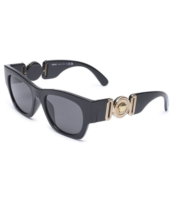 Солнцезащитные очки Versace Ve4479u, черный
Солнцезащитные очки Versace Ve4479u, черный