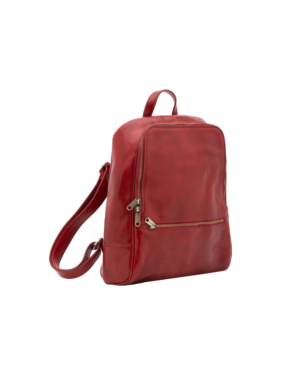 Рюкзак Viola Castellani, бургундия
Рюкзак Viola Castellani, бургундия