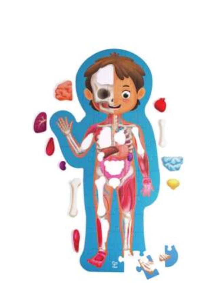 Игрушка - пазл Hape "Мое тело"
Игрушка - пазл Hape "Мое тело"