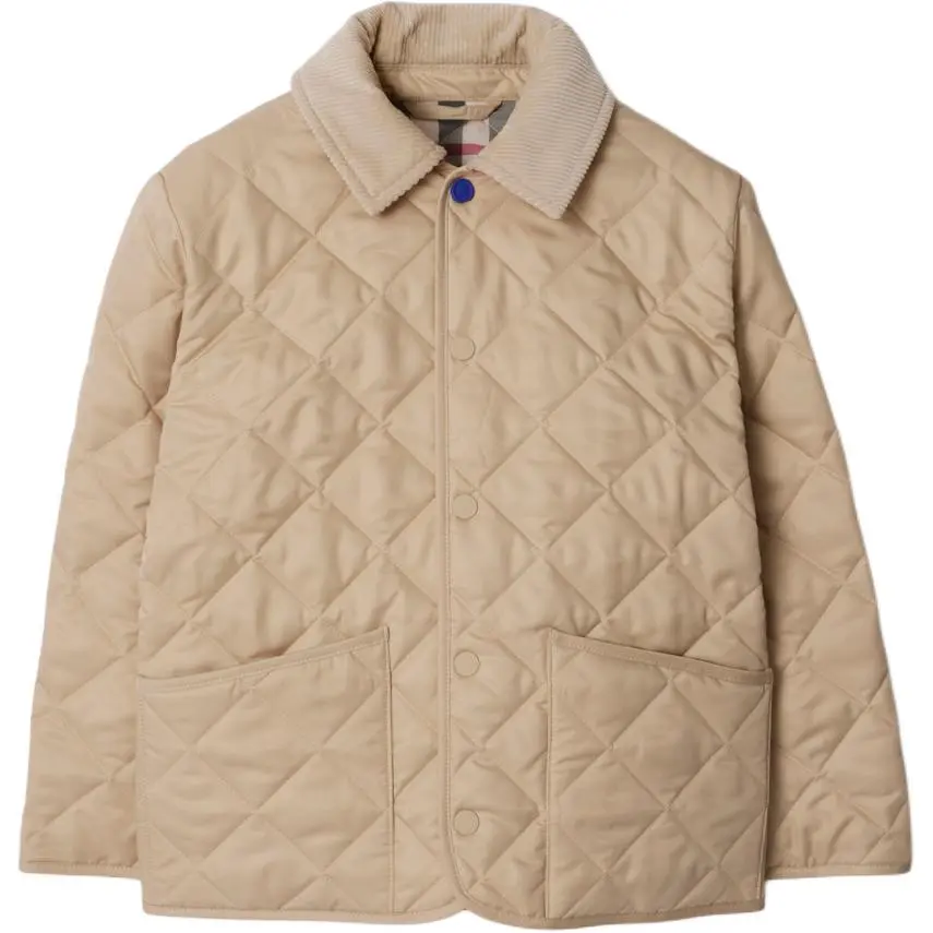 Детская куртка Burberry, Light Stone
Детская куртка Burberry, Light Stone