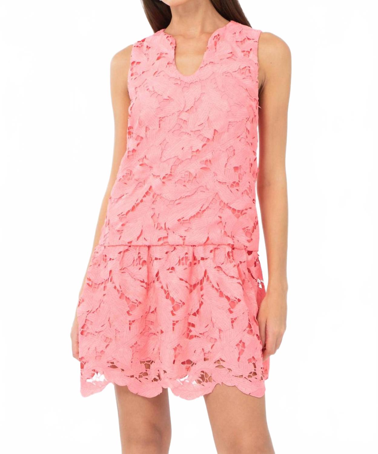 Франческа мини-платье с 3D кружевом и заниженной талией в розовом цвете жевательной резинки Adelyn rae
Франческа мини-платье с 3D кружевом и заниженной талией в розовом цвете жевательной резинки Adelyn rae