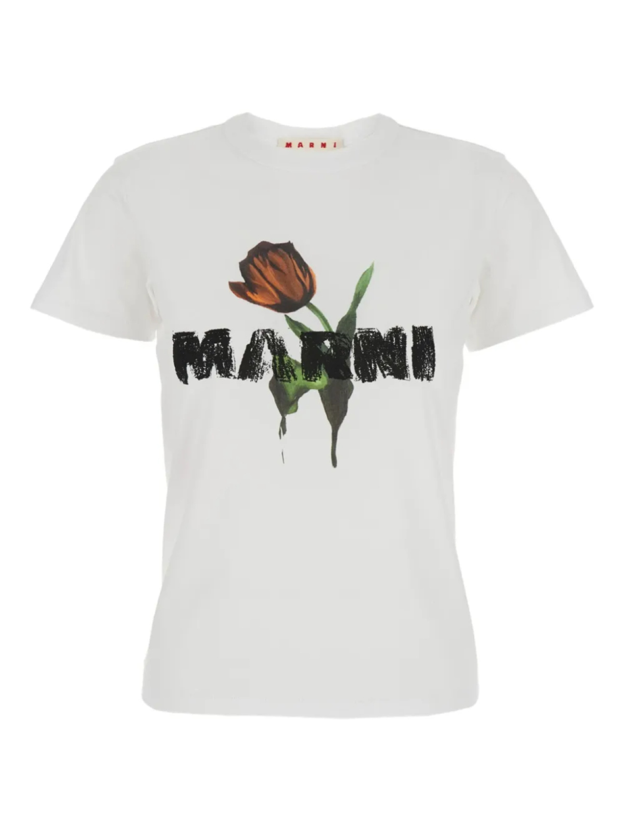 Marni футболка с цветочным принтом, белый
Marni футболка с цветочным принтом, белый