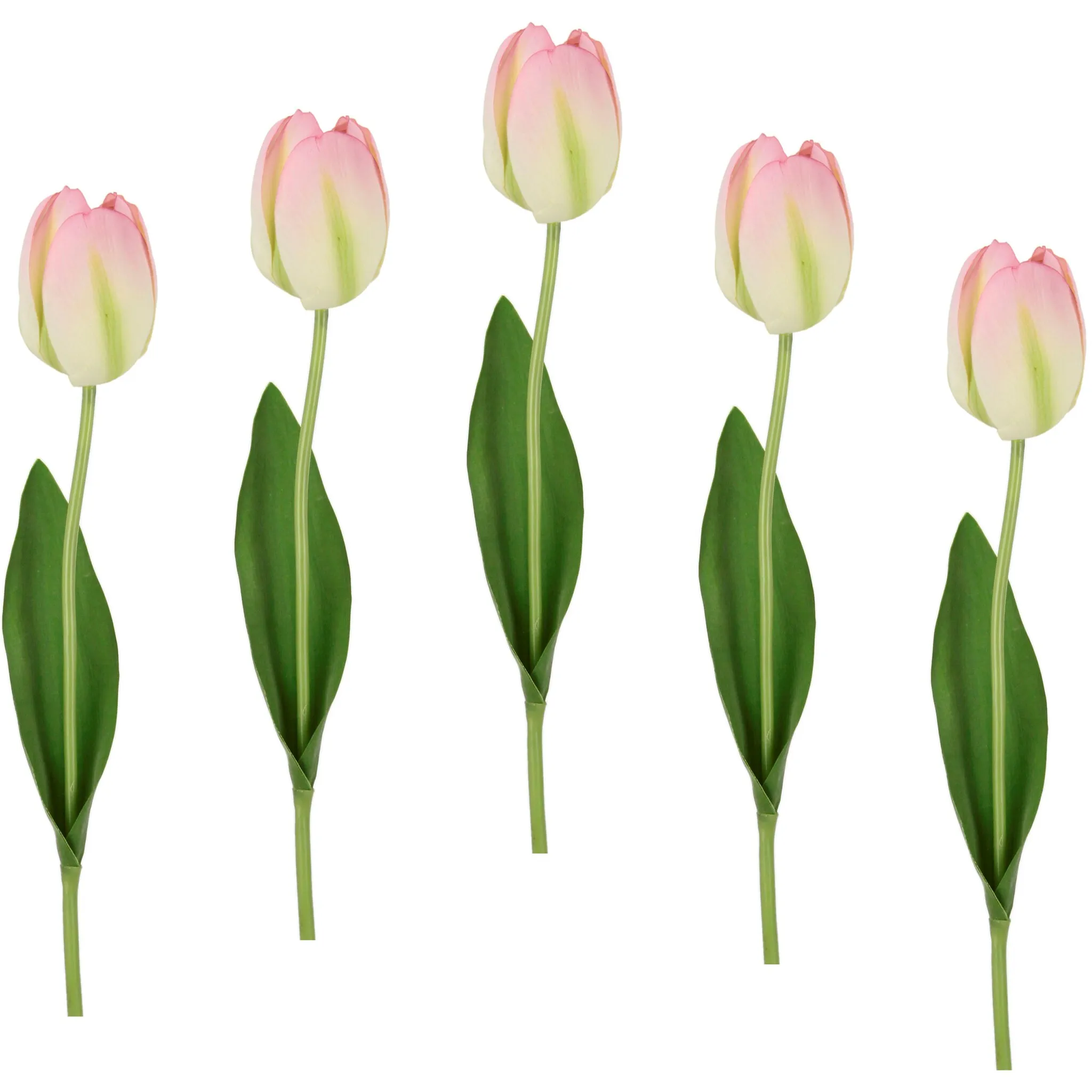 И.ГЕ.А. Искусственный цветок «Real Touch Tulips», набор из 5 искусственных бутонов тюльпанов, искусственные цветы, стеблевой цветок I.Ge.A., белый/розовый
И.ГЕ.А. Искусственный цветок «Real Touch Tulips», набор из 5 искусственных бутонов тюльпанов, искусственные цветы, стеблевой цветок I.Ge.A., белый/розовый