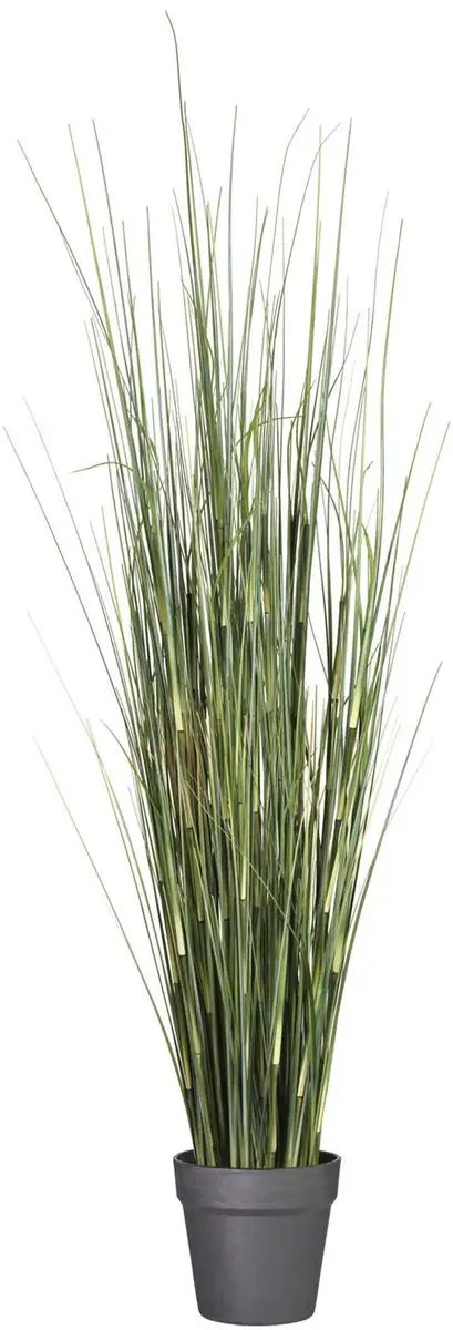 Креатив зеленая искусственная трава "Equisetum Gras", в пластиковом горшке Creativ green 125 см, зеленый
Креатив зеленая искусственная трава "Equisetum Gras", в пластиковом горшке Creativ green 125 см, зеленый
