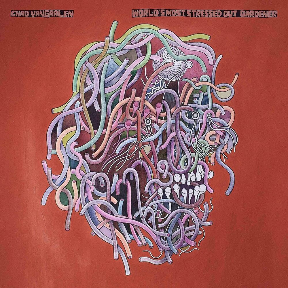 Диск CD World's Most Stressed Out Gardener - Chad VanGaalen
Диск CD World's Most Stressed Out Gardener - Chad VanGaalen