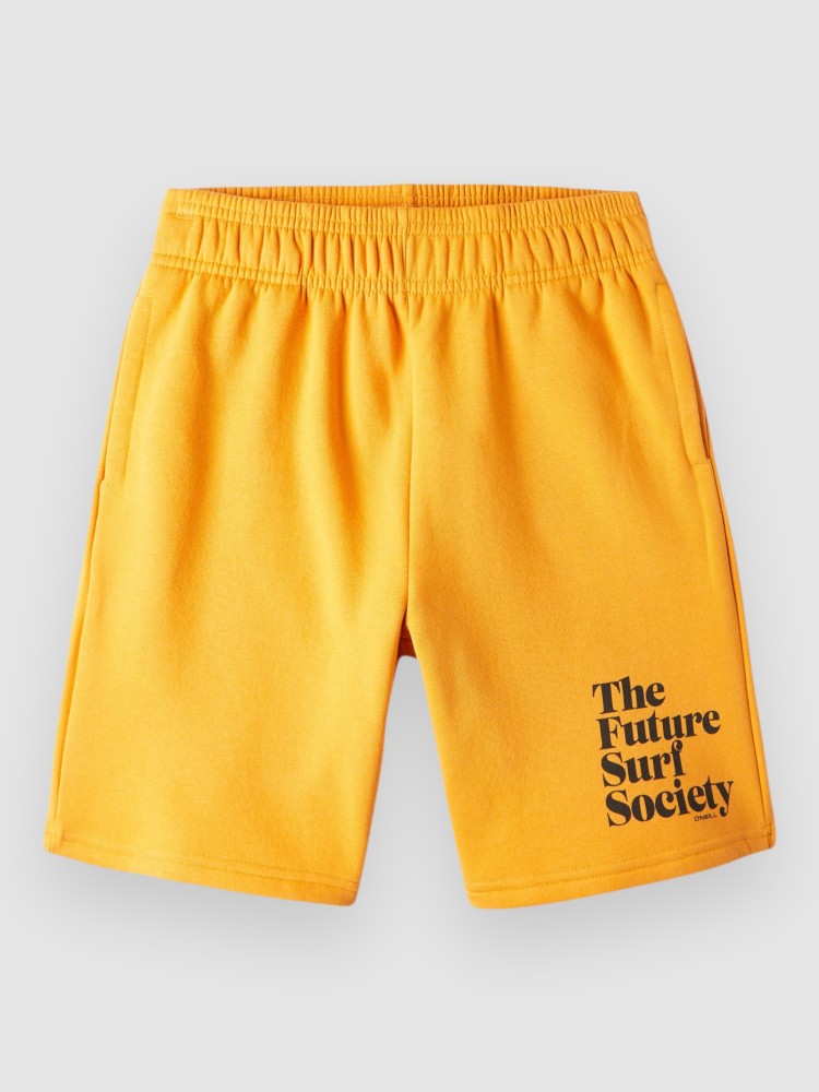 Шорты O'Neill Future Surf Kids Shorts, nugget
Шорты O'Neill Future Surf Kids Shorts, nugget