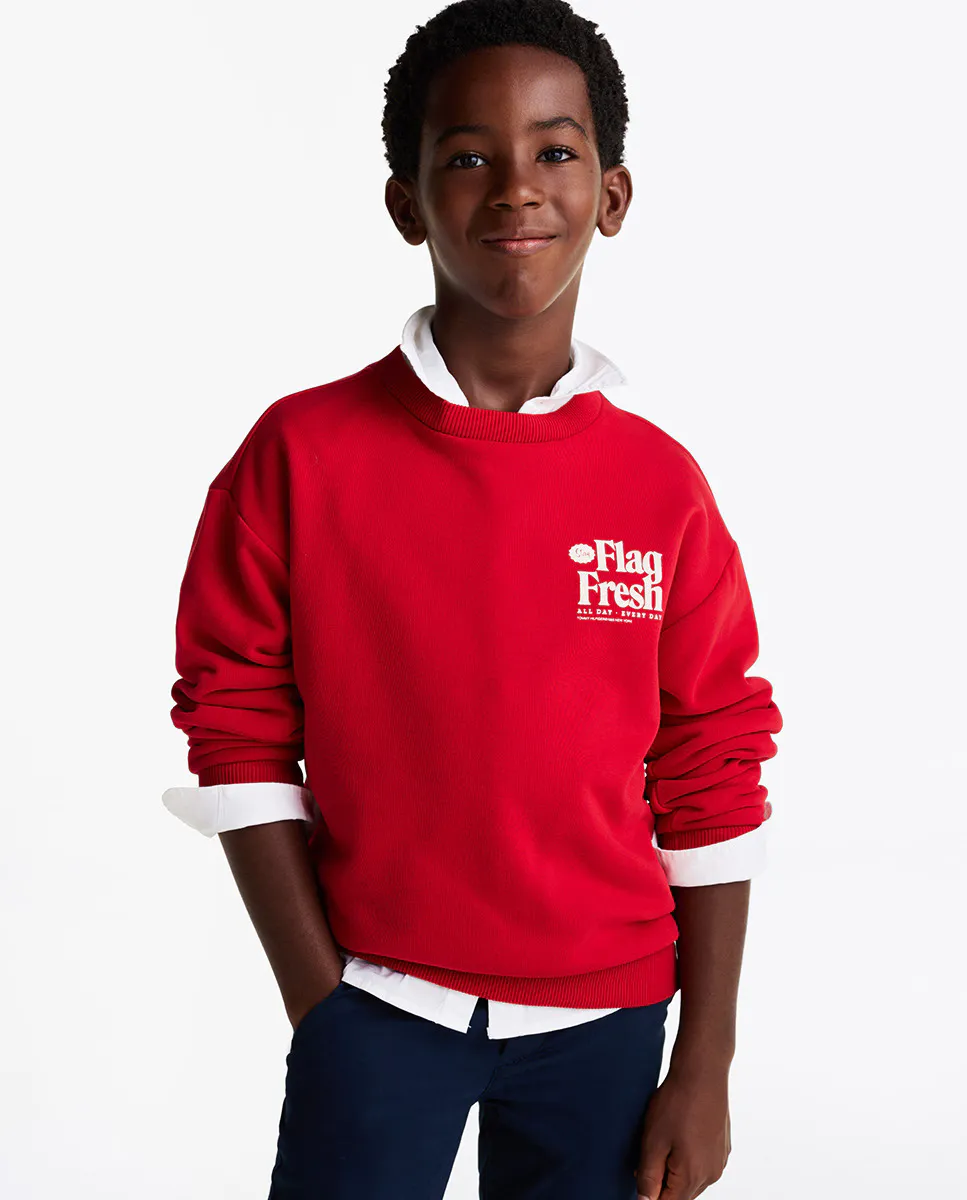 Свитшот для мальчиков с круглым вырезом и логотипом с принтом на груди Tommy Hilfiger, красный
Свитшот для мальчиков с круглым вырезом и логотипом с принтом на груди Tommy Hilfiger, красный