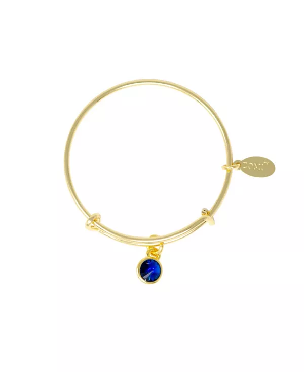 Браслет с камнями, соответствующими дате рождения, для детей Zomi Gems, september
Браслет с камнями, соответствующими дате рождения, для детей Zomi Gems, september