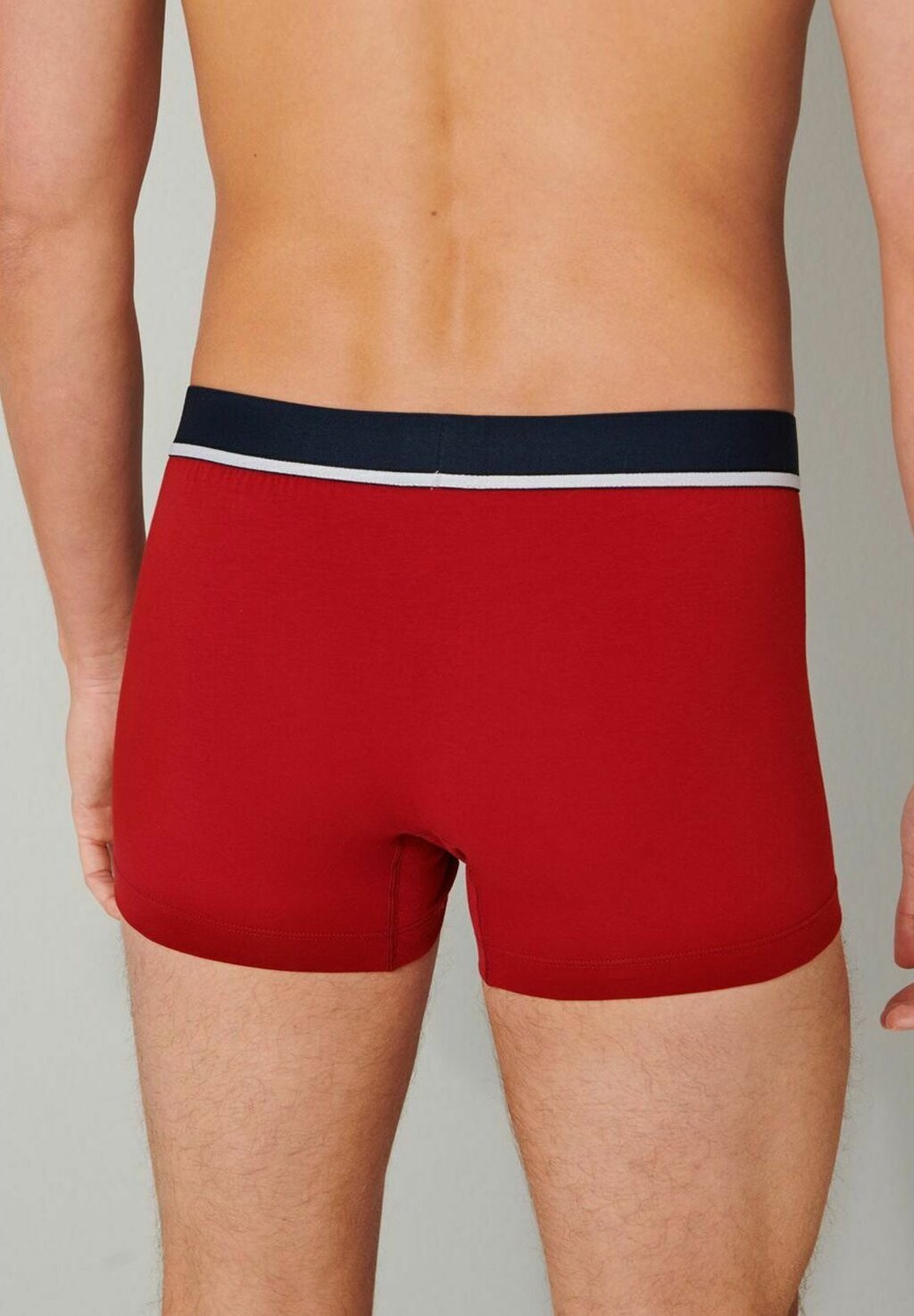 Брюки 6 PACK Schiesser, светло-серый 
Брюки 6 PACK Schiesser, светло-серый