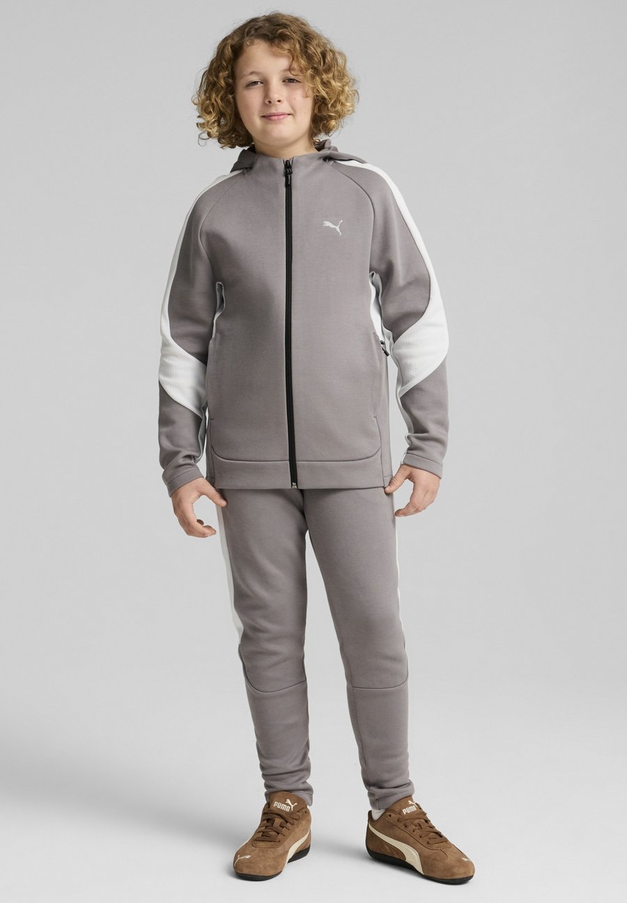 Толстовка Puma EVOSTRIPE FULL, Cast Iron/Grey
Толстовка Puma EVOSTRIPE FULL, Cast Iron/Grey