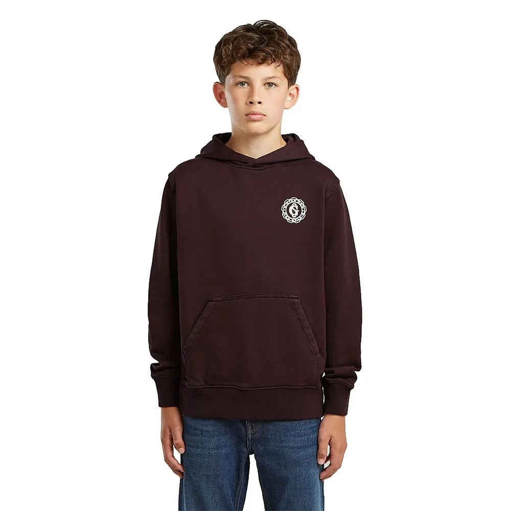 Худи G-Star Bren, коричневый
Худи G-Star Bren, коричневый