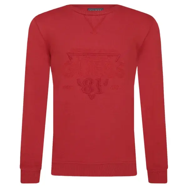 Толстовка обычного кроя Guess, красный
Толстовка обычного кроя Guess, красный