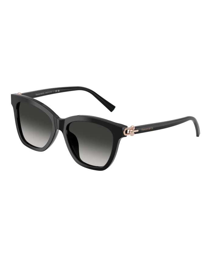 Солнцезащитные очки tf4241d модель 80013c Tiffany, черный
Солнцезащитные очки tf4241d модель 80013c Tiffany, черный