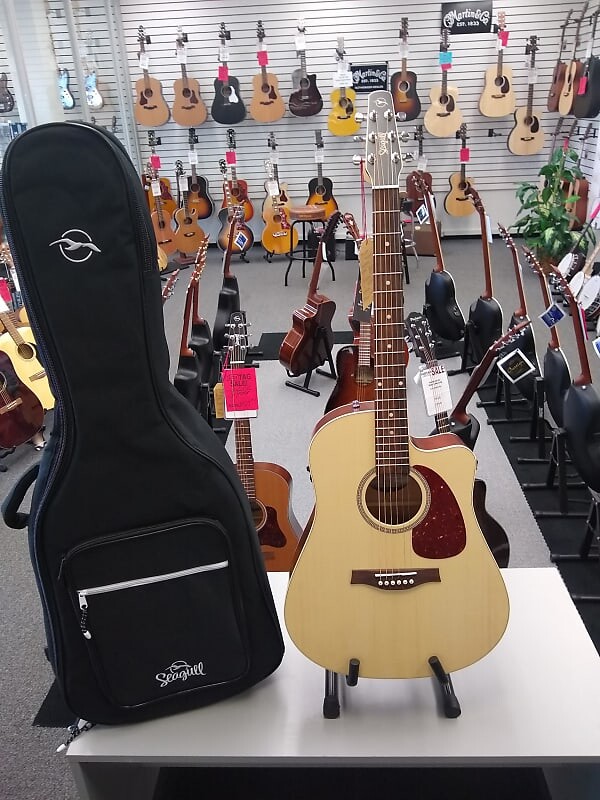 Акустическая гитара Seagull Coastline Guitar
Акустическая гитара Seagull Coastline Guitar