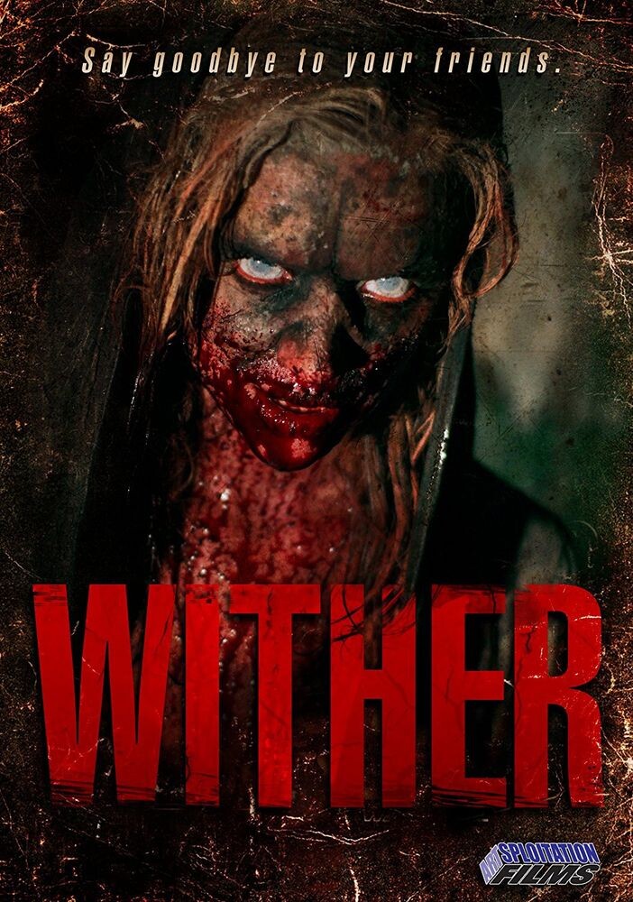 Диск DVD Wither
Диск DVD Wither