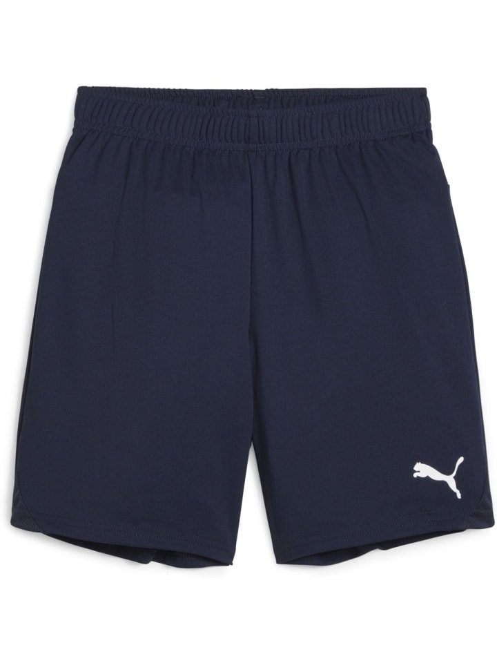 Спортивные шорты TeamGoal Shorts Jr синего цвета Puma
Спортивные шорты TeamGoal Shorts Jr синего цвета Puma