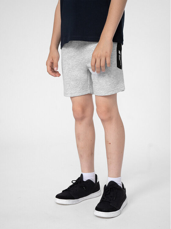 Спортивные шорты стандартного кроя 4F, серый
Спортивные шорты стандартного кроя 4F, серый