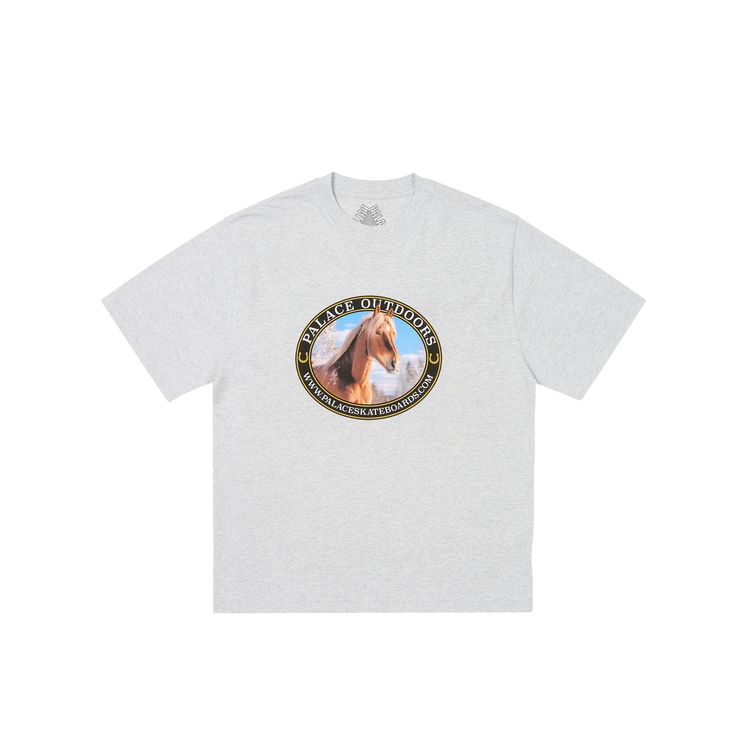 Футболка для верховой езды PALACE, серый
Футболка для верховой езды PALACE, серый