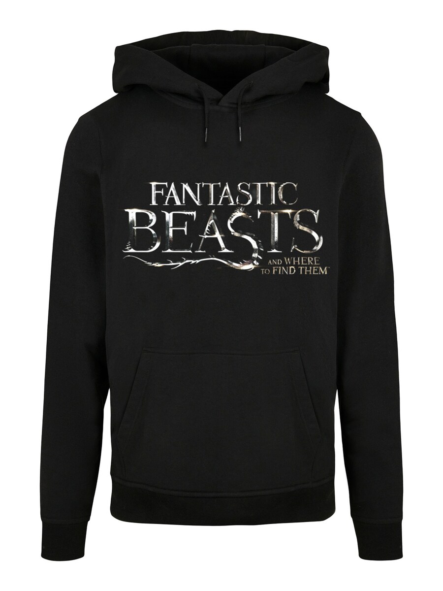 Толстовка F4NT4STIC Fantastic Beasts And Harry Potter, черный
Толстовка F4NT4STIC Fantastic Beasts And Harry Potter, черный