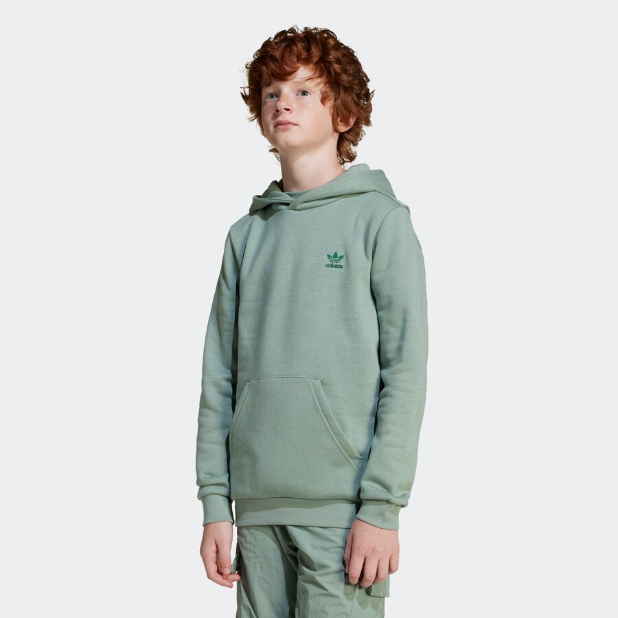 Толстовка ADIDAS ORIGINALS Essential, пастельный зеленый
Толстовка ADIDAS ORIGINALS Essential, пастельный зеленый