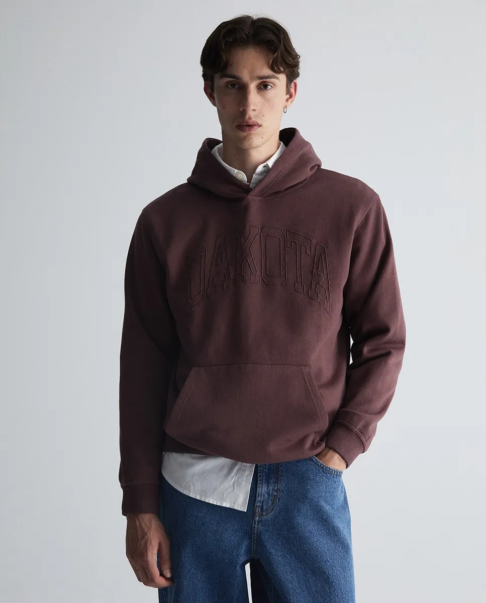 Стираная толстовка с капюшоном Sfera, баклажановый
Стираная толстовка с капюшоном Sfera, баклажановый