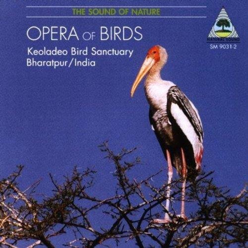 CD диск Opera of Birds - Recordings From Keoladeo / Var: Opera Of Birds - Recordings From Keoladeo / Var
CD диск Opera of Birds - Recordings From Keoladeo / Var: Opera Of Birds - Recordings From Keoladeo / Var