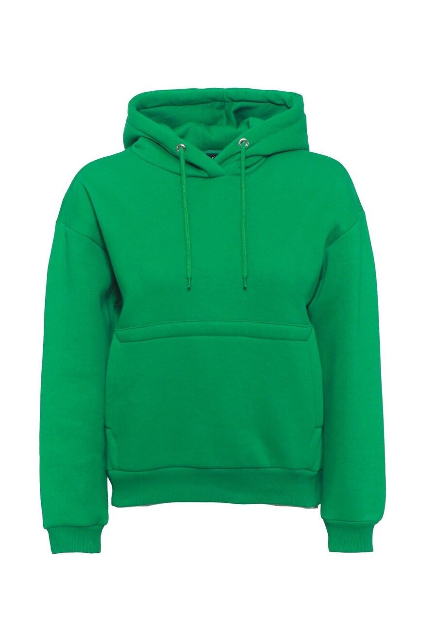 Толстовка FRESHLIONS Balina, зеленый
Толстовка FRESHLIONS Balina, зеленый