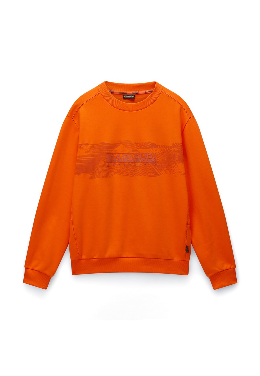 Толстовка NAPAPIJRI B-Vanni C, Orange/Lobster
Толстовка NAPAPIJRI B-Vanni C, Orange/Lobster