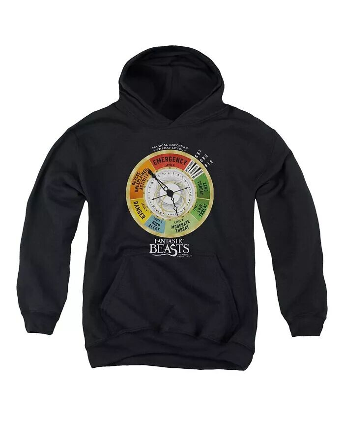 Толстовка с капюшоном для мальчиков Youth Threat Gauge / Толстовка с капюшоном Fantastic Beasts, черный
Толстовка с капюшоном для мальчиков Youth Threat Gauge / Толстовка с капюшоном Fantastic Beasts, черный