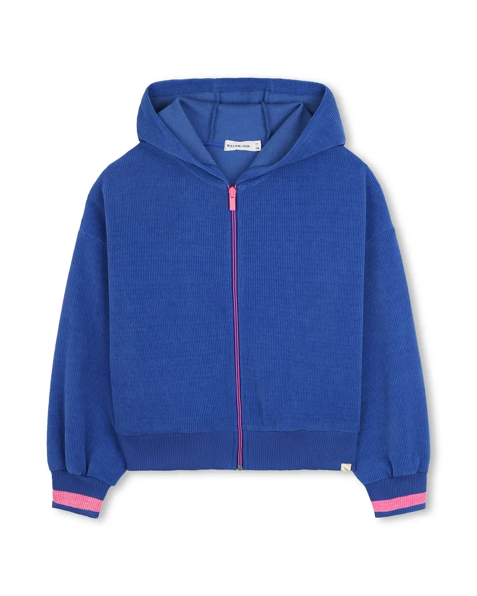 Детская толстовка с капюшоном и молнией Billieblush, синий
Детская толстовка с капюшоном и молнией Billieblush, синий