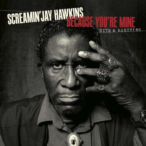 CD диск Hawkins, Jay Screaming: Because You're Mine: Hits & Rarities
CD диск Hawkins, Jay Screaming: Because You're Mine: Hits & Rarities