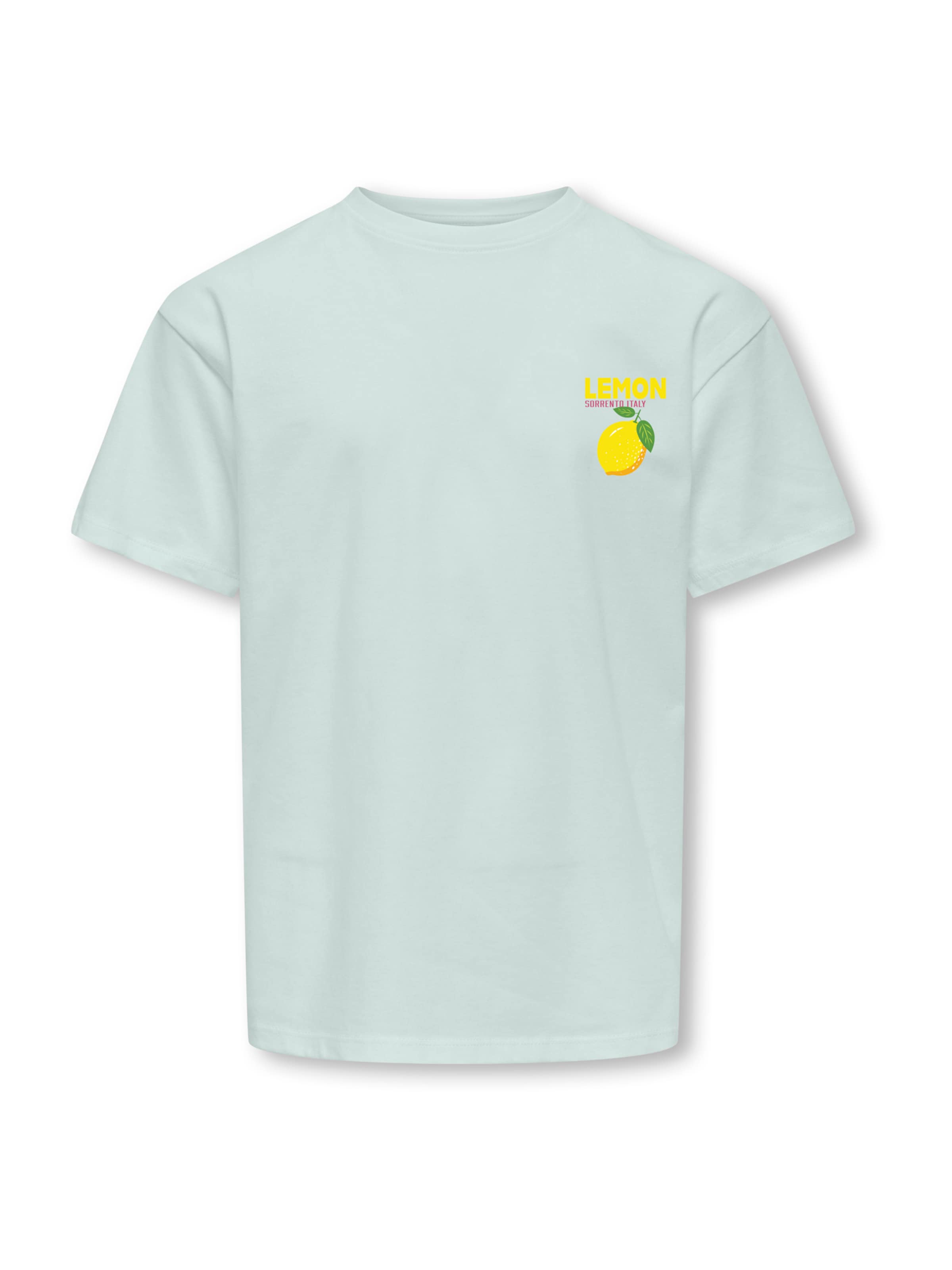 ONLY GIRLS Футболка 'KOGCARINA' в светло-голубом цвете
ONLY GIRLS Футболка 'KOGCARINA' в светло-голубом цвете