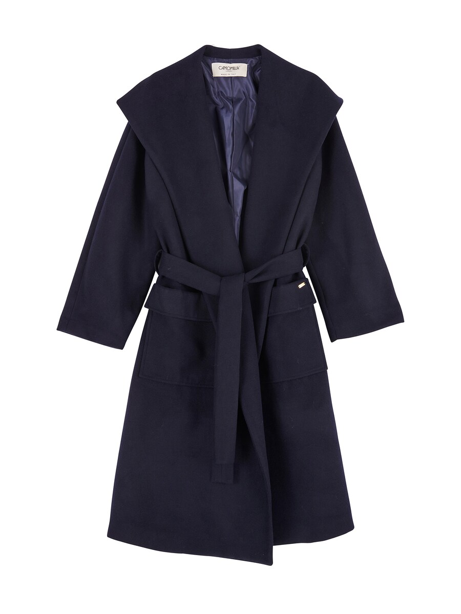 Зимнее пальто Camomilla Italia Camillo, темно-синий
Зимнее пальто Camomilla Italia Camillo, темно-синий