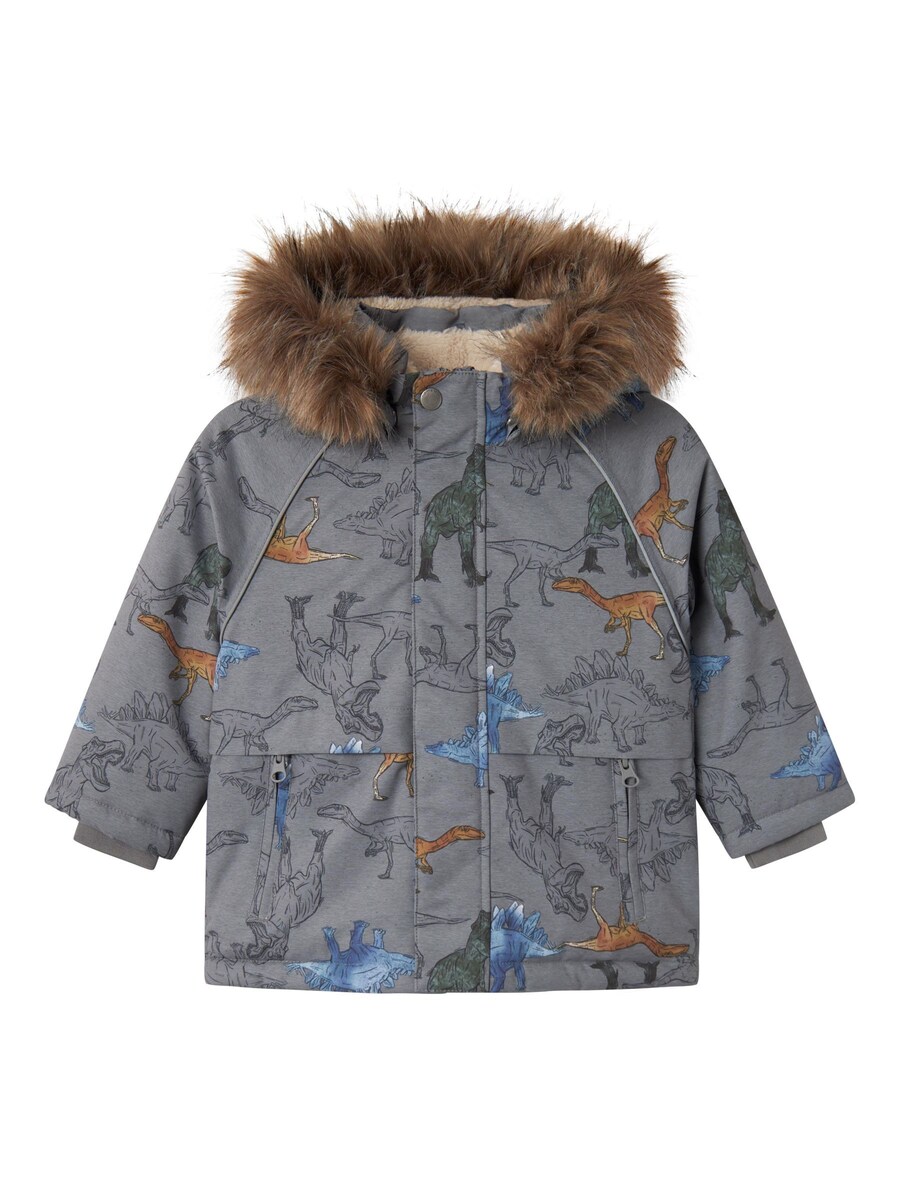 Куртка для выступлений NAME IT NMMSnow05, серый
Куртка для выступлений NAME IT NMMSnow05, серый