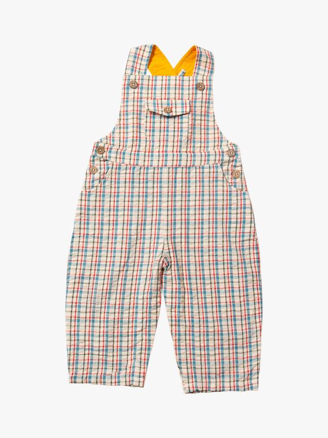 Детские комбинезоны seersucker из чистого органического хлопка в клетку Little Green Radicals, разноцветный
Детские комбинезоны seersucker из чистого органического хлопка в клетку Little Green Radicals, разноцветный