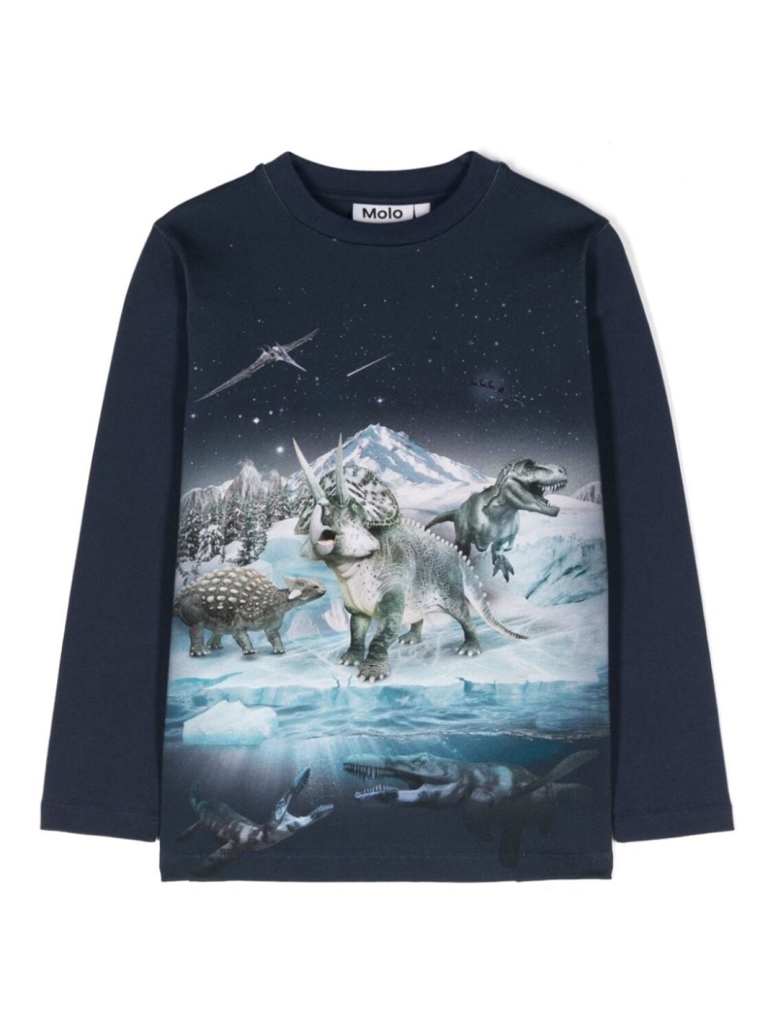 Molo футболка Reif с графичным принтом, синий
Molo футболка Reif с графичным принтом, синий