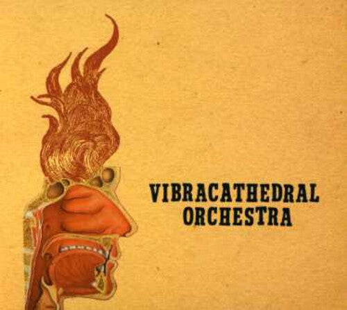 CD диск Vibracathedral Orchestra: Wisdom Thunderbolt
CD диск Vibracathedral Orchestra: Wisdom Thunderbolt