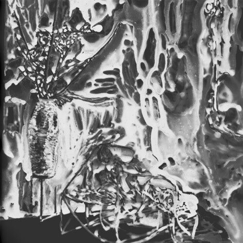 CD диск Demons: Evocation
CD диск Demons: Evocation